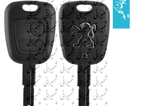 قاب ریموت 206